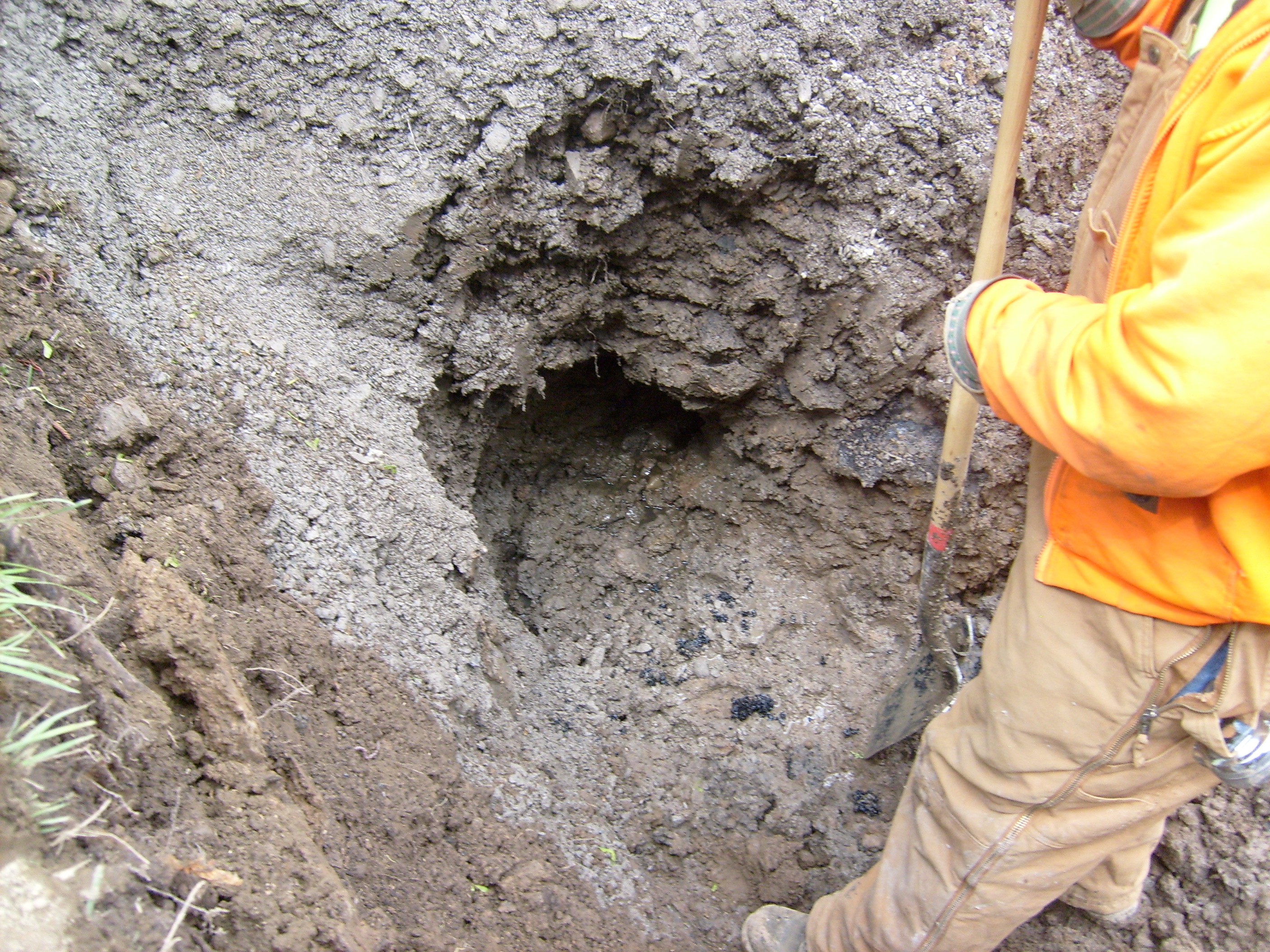 RGE Claim 150 Fernboro